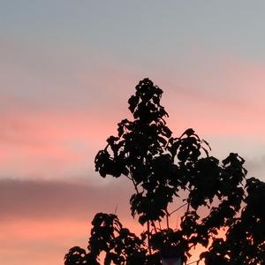 女明星三点尽露合集
